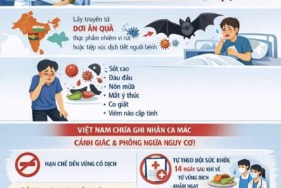 BÀI TUYÊN TRUYỀN PHÒNG CHỐNG DỊCH BỆNH VI RÚT NIPAH